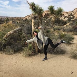 Meet your Posher, Sylvan